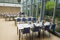 Die Holzschalenstühle Mailand sind robust und pflegeleicht
