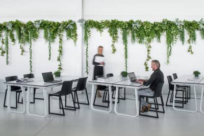Modern und zeitlos sind unsere Kunststoffstühle Melbourne