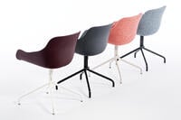 Unsere Schalenstühle Queens DG in verschiedenen Farben und Ausführungen