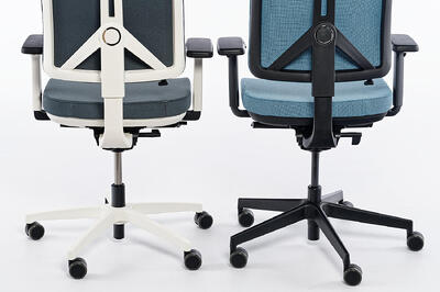 Verschiedene Farbvarianten können gewählt werden