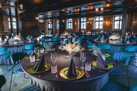 Modern und bequem sind unsere Texel Polsterstühle