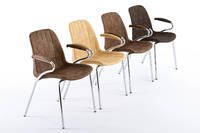 Für Ihre Anlässe mit vielen Gästen bilden diese Stühle den optimalen Rahmen