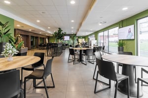 Unsere Melbourne sind sehr robust und pflegeleicht