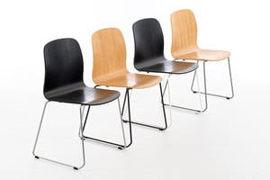 Die Montana geben farblich gemischt auch ein schönes Bild