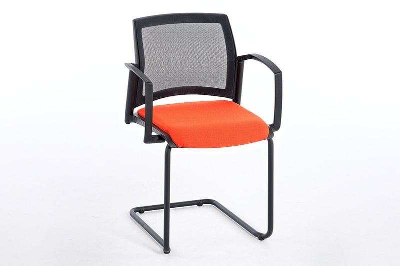 Freischwingermodell + Armlehnen