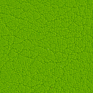 Kunstleder Farbe Gruen